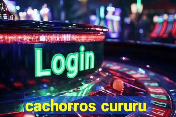 cachorros cururu